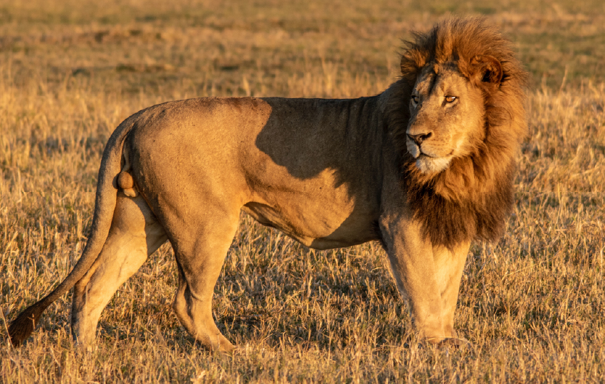 Amboseli to Kenyan Beach Safari
