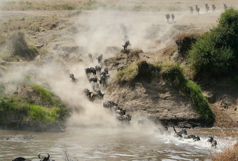 Tsavo East, Amboseli, Lake Naivasha & Masai Mara Safari