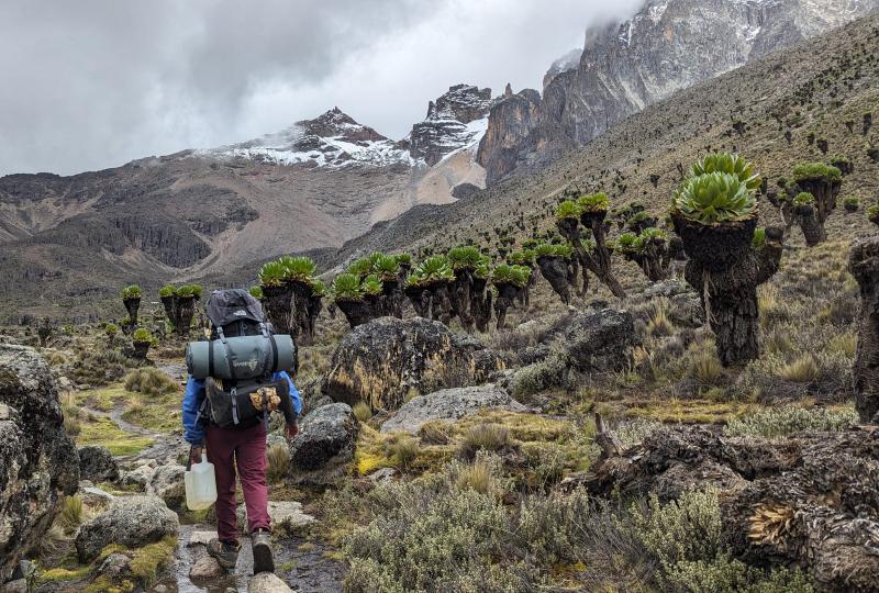 Mount Kenya Climbing Up Sirimon – Chogoria