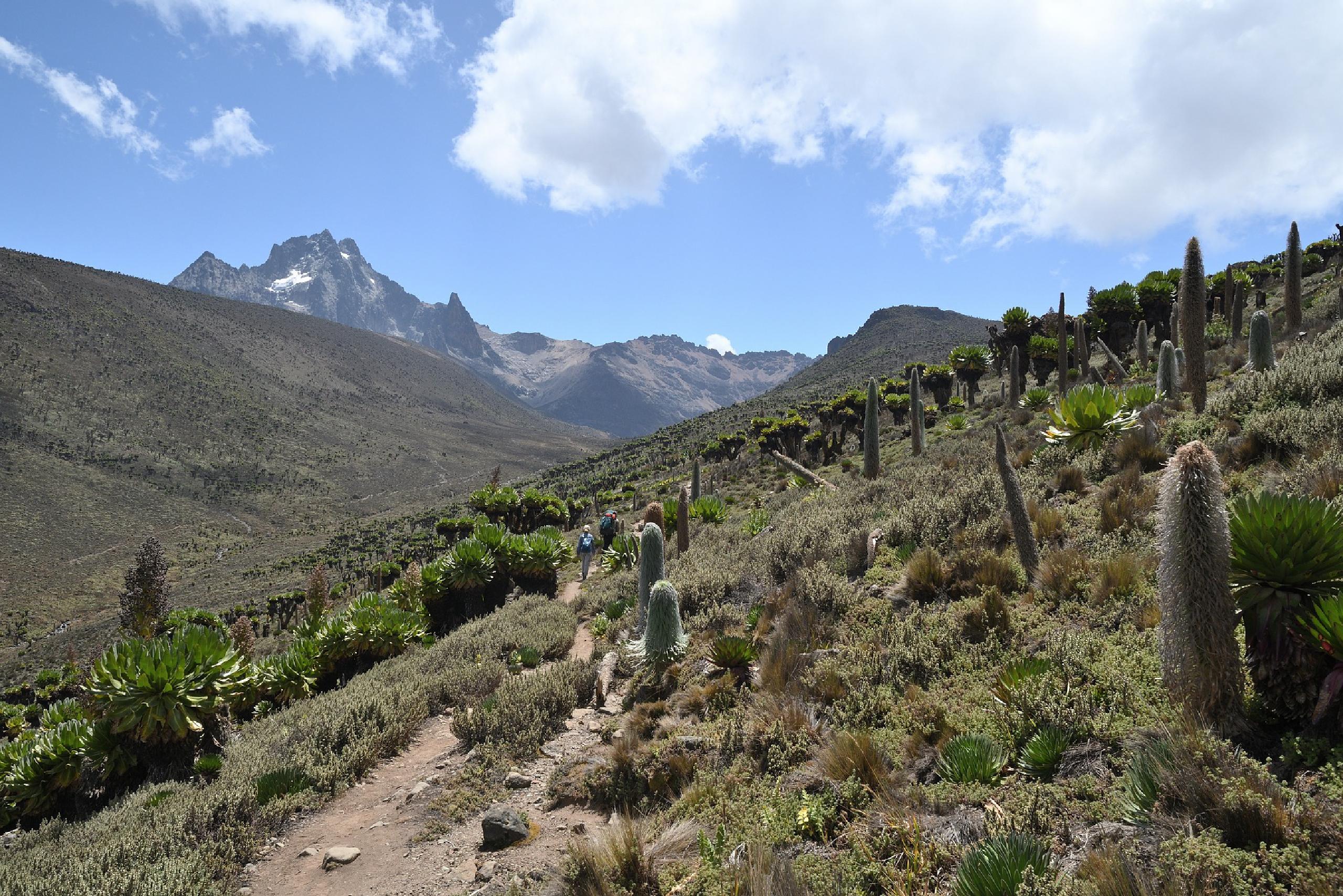 Mount Kenya Trekking Tour, Sirimon Route